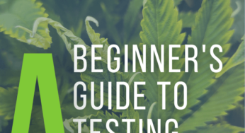 Beginner’s Guide to Testing for Cannabis Viruses and Viroids